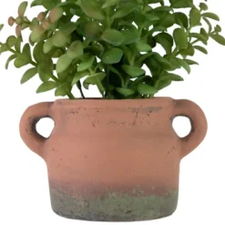Northlight Real Touch™ Artificial Privet Plant In Vintage Milk Can Style Earthenware Pot - 14" 10 Northlight Real Touch™ Artificial Privet Plant In Vintage Milk Can Style Earthenware Pot - 14" -Artificial Plant Store GUEST 3623ce0d 7f14 43b5 855c a384013d5087