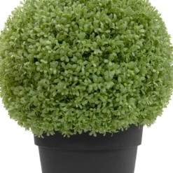 Northlight 22" Artificial Boxwood Ball Topiary In Round Pot, Unlit 7 Northlight 22" Artificial Boxwood Ball Topiary In Round Pot, Unlit -Artificial Plant Store GUEST 367a9006 0a07 4ebd a2fe 3e22c2f8f783