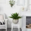 Nearly Natural 24-in Agave Artificial Plant In Sand Colored Bowl 1 Nearly Natural 24-in Agave Artificial Plant In Sand Colored Bowl -Artificial Plant Store GUEST 3717bae6 c12a 4133 90df 32b11d4d9ee2