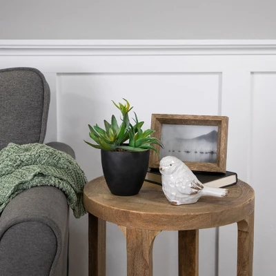 Northlight 11" Mixed Succulent Plant Artificial Potted Arrangement - Green/Black 3 Northlight 11" Mixed Succulent Plant Artificial Potted Arrangement - Green/Black