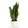 Nearly Natural 16-in Sansevieria Artificial Plant -Artificial Plant Store GUEST 381db4ff be0e 4b48 9fd3 f8a0c4b4fa18