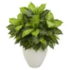 Nearly Natural 28-in Dieffenbachia Artificial Plant In White Planter 1 Nearly Natural 28-in Dieffenbachia Artificial Plant In White Planter -Artificial Plant Store GUEST 39013000 f999 473e b7b8 56ee54fba254