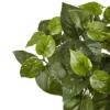 Nearly Natural 16-in Pothos Artificial Plant (Set Of 6) 1 Nearly Natural 16-in Pothos Artificial Plant (Set Of 6) -Artificial Plant Store GUEST 3cba989f 5c4c 4d61 b8bb 8e0665f83bcd