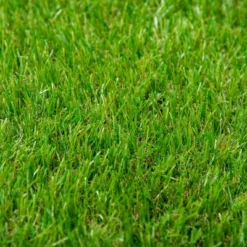Outsunny 10' X 3' Artificial Turf Grass With Simulated Look & Feel UV Protection, & Drain Holes For Rain -Artificial Plant Store GUEST 3cd30126 e9d0 458b 9993 a06876f334a8