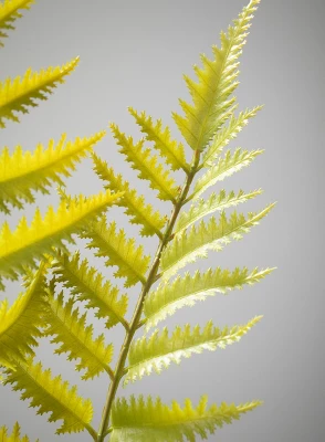 Sullivans Artificial Potted Fern 3 Sullivans Artificial Potted Fern