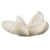 Vickerman Natural Botanicals 2"-3" Bullet Flower Bleached 50 Pcs/unit. Includes 50 Pieces Per Unit.