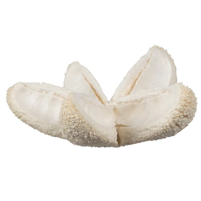 Vickerman Natural Botanicals 2"-3" Bullet Flower Bleached 50 Pcs/unit. Includes 50 Pieces Per Unit. 3 Vickerman Natural Botanicals 2"-3" Bullet Flower Bleached 50 Pcs/unit. Includes 50 Pieces Per Unit.