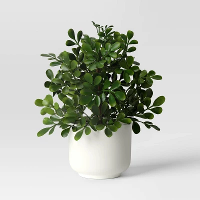 Herb Artificial Plant In White Pot - Room Essentials™ 6 Herb Artificial Plant In White Pot - Room Essentials™ - Image 4