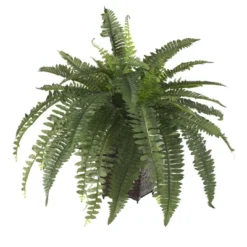 Nearly Natural Boston Fern With Wicker Basket Artificial Plant 7 Nearly Natural Boston Fern With Wicker Basket Artificial Plant -Artificial Plant Store GUEST 3f809447 e030 444f 9997 e08a8d20cc92