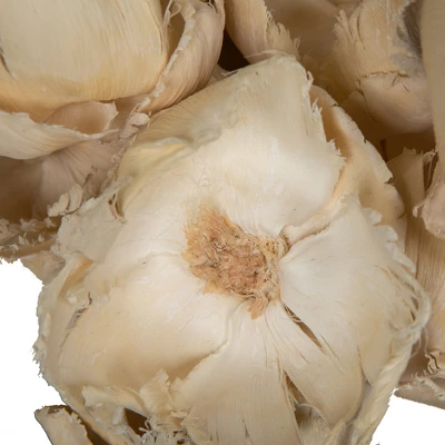 Vickerman Natural Botanicals 2.75" Palm Cap 5 Vickerman Natural Botanicals 2.75" Palm Cap - Image 3