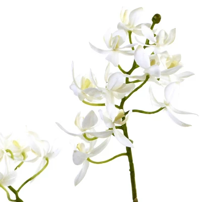 20" X 22" Artificial Orchid & Succulent Garden With Driftwood - Nearly Natural 3 20" X 22" Artificial Orchid & Succulent Garden With Driftwood - Nearly Natural