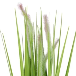 Northlight 24" Artificial Green Onion Grass Plant In Tin Pot 8 Northlight 24" Artificial Green Onion Grass Plant In Tin Pot -Artificial Plant Store GUEST 447edf5e f87d 4a19 a12c c4c951237af5