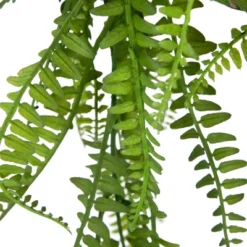 Northlight 18" Artificial Fern Plant With Moss Ball And Hanging Jute Cord -Artificial Plant Store GUEST 468a4889 20f3 4f51 87de a36c52f71fe3