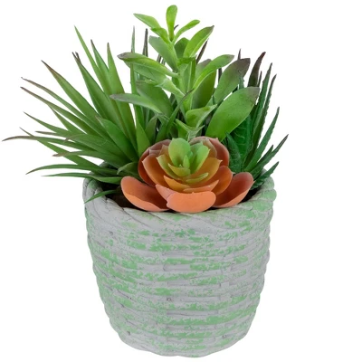Northlight 8.5" Mixed Succulent Artificial Potted Arrangement - Green/Brown 4 Northlight 8.5" Mixed Succulent Artificial Potted Arrangement - Green/Brown - Image 2