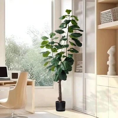 Forever Leaf 72" Artificial Fiddle Tree In Black Pot 2 Stem, Indoor Artificial Plant For Home Decor 7 Forever Leaf 72" Artificial Fiddle Tree In Black Pot 2 Stem, Indoor Artificial Plant For Home Decor - Image 5