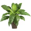 Nearly Natural Birds Nest Fern With Wicker Basket