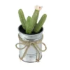 Northlight 6" Columnar Cactus Artificial Potted Plant - Green/Silver 1 Northlight 6" Columnar Cactus Artificial Potted Plant - Green/Silver -Artificial Plant Store GUEST 480f4088 7b97 4110 aa32 b11c81e60463