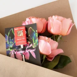 Amborella Organics 6pk Sucker For You Cards With Seed-Bearing Lollipops Flower Seeds -Artificial Plant Store GUEST 485ac18b c667 4d11 8b5d 01bb3f924811