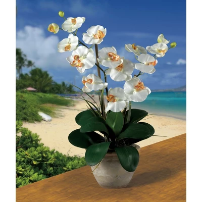 Nearly Natural Double Phalaenopsis Artificial Orchid Flower Arrangement, Cream 5 Nearly Natural Double Phalaenopsis Artificial Orchid Flower Arrangement, Cream - Image 3