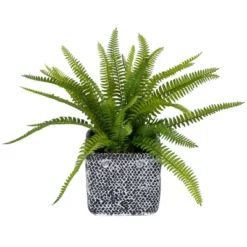 Northlight 20" Boston Fern Artificial Plant In Weathered Square Planter - Green/Gray -Artificial Plant Store GUEST 4a9220da 12b2 4d6c bf7c 45e0142df62a