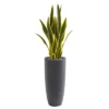 Nearly Natural 3-ft Sansevieria Artificial Plant In Gray Bullet Planter 1 Nearly Natural 3-ft Sansevieria Artificial Plant In Gray Bullet Planter -Artificial Plant Store GUEST 4b8a8c48 747b 4419 90a7 644a3cff71e8