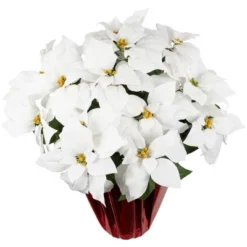 Northlight 26" White Artificial Christmas Poinsettia In Red Wrapped Base 9 Northlight 26" White Artificial Christmas Poinsettia In Red Wrapped Base -Artificial Plant Store GUEST 4e9b6292 e847 469a b800 e0c59e7063d2