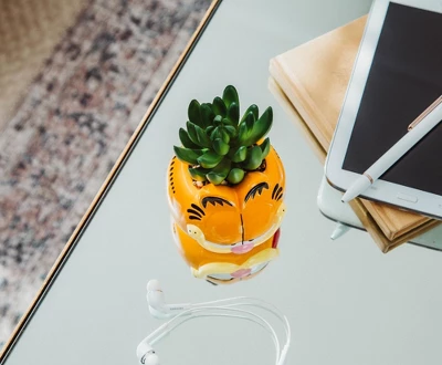 Silver Buffalo Garfield 4-Inch Ceramic Mini Planter With Artificial Succulent 7 Silver Buffalo Garfield 4-Inch Ceramic Mini Planter With Artificial Succulent - Image 5