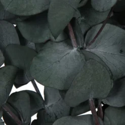 Vickerman Natural Botanicals 18-20" X 9" Eucalyptus Spiral, 100 Grams Per Unit 10 Vickerman Natural Botanicals 18-20" X 9" Eucalyptus Spiral, 100 Grams Per Unit -Artificial Plant Store GUEST 50ec1f5f 1779 4fb7 b00c 5a218983c867