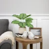 Northlight 13" Artificial Arrowroot Plant In Beige Ceramic Pot -Artificial Plant Store GUEST 51c46d2b 14f6 40ea bfb0 751d94246799