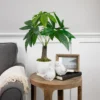 Northlight 18.5" Artificial Guiana Chestnut Plant In White Pot 2 Northlight 18.5" Artificial Guiana Chestnut Plant In White Pot -Artificial Plant Store GUEST 54cf12fc 81a5 4822 880c 18d23bd3617e
