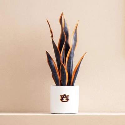 Forever Leaf Auburn Artificial Snake, Orchid And Hydrangea Plants 3-Pack Bundle, Indoor Artificial Plant For Home Decor 6 Forever Leaf Auburn Artificial Snake, Orchid And Hydrangea Plants 3-Pack Bundle, Indoor Artificial Plant For Home Decor - Image 4