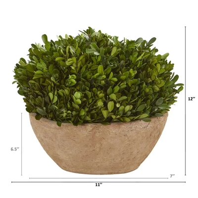 Nearly Natural 12-in Boxwood Preserved Plant In Oval Planter 3 Nearly Natural 12-in Boxwood Preserved Plant In Oval Planter