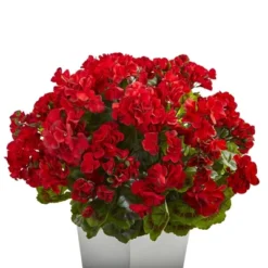 Nearly Natural 27-in Geranium Artificial Plant In White Planter UV Resistant (Indoor/Outdoor), White 12 Nearly Natural 27-in Geranium Artificial Plant In White Planter UV Resistant (Indoor/Outdoor), White -Artificial Plant Store GUEST 59bc723a d0b5 45e5 b0c5 b31d425bc2a8