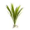 Nearly Natural 15-in Grass Artificial Plant (Set Of 6) 2 Nearly Natural 15-in Grass Artificial Plant (Set Of 6) -Artificial Plant Store GUEST 5a140949 bb71 4d19 b4cd 8ab7de032656
