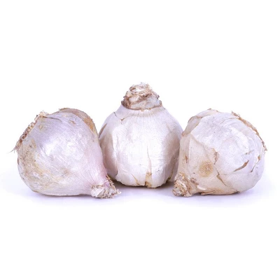 Van Zyverden 3ct Cloves Garlic Purple Creole 7 Van Zyverden 3ct Cloves Garlic Purple Creole - Image 5
