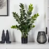 Nearly Natural 3-ft Zamioculcas Artificial Plant 2 Nearly Natural 3-ft Zamioculcas Artificial Plant -Artificial Plant Store GUEST 5b5e2cd3 4e60 4944 a12d ffaf3a4f2436