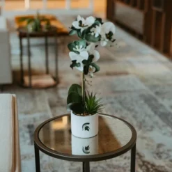 Forever Leaf Michigan State Faux Orchid, Indoor Artificial Plant For Home Decor 15 Forever Leaf Michigan State Faux Orchid, Indoor Artificial Plant For Home Decor -Artificial Plant Store GUEST 5be966bc 74c2 43e4 9226 8b2efc113870