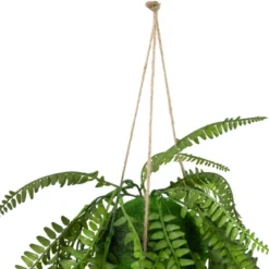 Northlight 18" Artificial Fern Plant With Moss Ball And Hanging Jute Cord -Artificial Plant Store GUEST 5d0831f1 7f72 48be 9ffc 9cee800662e5