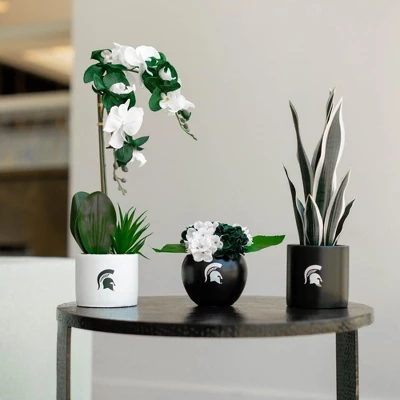 Forever Leaf Michigan State Artificial Snake, Orchid And Hydrangea Plants 3-Pack Bundle, Indoor Artificial Plant For Home Decor 8 Forever Leaf Michigan State Artificial Snake, Orchid And Hydrangea Plants 3-Pack Bundle, Indoor Artificial Plant For Home Decor - Image 6