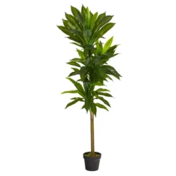 Nearly Natural 56-in Dracaena Artificial Plant (Real Touch) -Artificial Plant Store GUEST 60484807 f846 4763 8ac3 c86ffc29c8c5