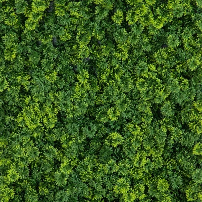 Nearly Natural 20-in X 40-in UV Resistant Irish Green Meadow Artificial Living Wall Art Panel In Black Aluminum Frame (Indoor/Outdoor) 4 Nearly Natural 20-in X 40-in UV Resistant Irish Green Meadow Artificial Living Wall Art Panel In Black Aluminum Frame (Indoor/Outdoor) - Image 2