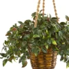30" Mini Melon Artificial Plant In Hanging Basket - Nearly Natural 2 30" Mini Melon Artificial Plant In Hanging Basket - Nearly Natural -Artificial Plant Store GUEST 6215168e de19 439b 976f d778cf24e0f8