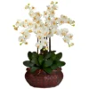 Nearly Natural Large Phalaenopsis Artificial Flower Arrangement, Cream 1 Nearly Natural Large Phalaenopsis Artificial Flower Arrangement, Cream -Artificial Plant Store GUEST 629244d0 18ce 4de8 b6d8 9a0f75dfb0ec