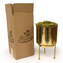 Amaryllis Moon Scene Preplanted Bulb With Iron Brass Finish Large Planter And Stand - Van Zyverden -Artificial Plant Store GUEST 69a64236 b4c6 4408 8c3f e4d80a1d6934