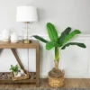 Northlight 4' Artificial Tropical Banana Tree In A Clay Pot 1 Northlight 4' Artificial Tropical Banana Tree In A Clay Pot -Artificial Plant Store GUEST 6b801b94 2295 40ca bc99 6ebe078ccfdc
