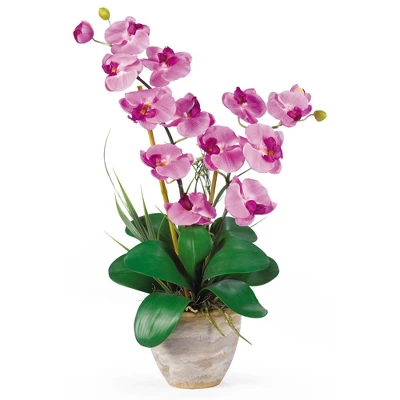 Nearly Natural Double Phalaenopsis Artificial Orchid Flower Arrangement, Cream 8 Nearly Natural Double Phalaenopsis Artificial Orchid Flower Arrangement, Cream - Image 6
