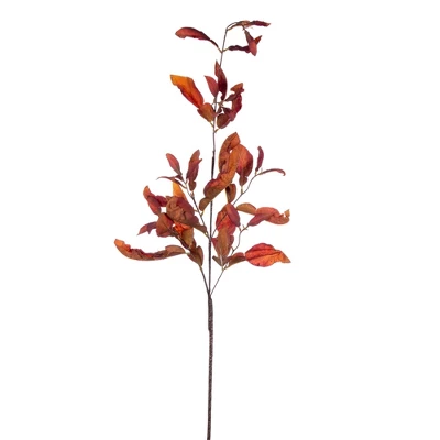 Vickerman 44.5" Dried Pomelo Leaves Spray 5 Vickerman 44.5" Dried Pomelo Leaves Spray - Image 3