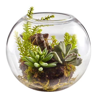 Nearly Natural Mix Succulent Garden With Glass Vase 6 Nearly Natural Mix Succulent Garden With Glass Vase - Image 4