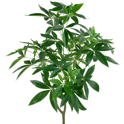 Northlight 4' Artificial Unbraided Potted Green Money Tree 4 Northlight 4' Artificial Unbraided Potted Green Money Tree - Image 2
