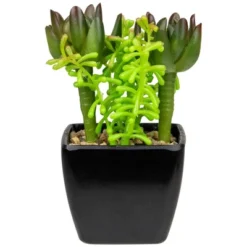Northlight 6" Potted Green Artificial Succulent Arrangement -Artificial Plant Store GUEST 7047a777 7b19 417f 8e92 9b4b2a6a2f3a